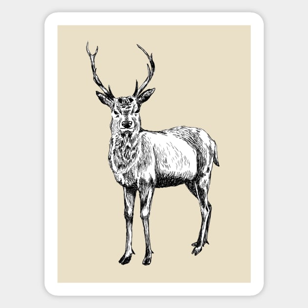 Deer Print Sticker by rachelsfinelines
